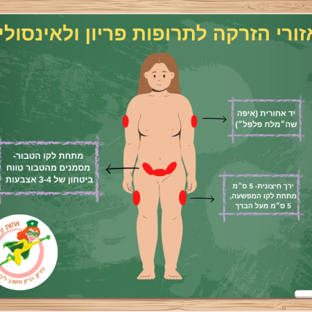 אזורי-הזרקה-תרופות-פריון-ואינסולין